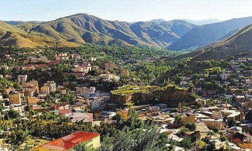 Bitlis-Subesi